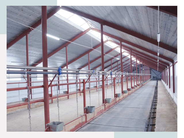 Строительство коровников в Москве от 612 руб.