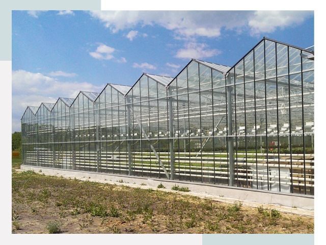 Строительство теплиц в Москва от 612 руб. за м²